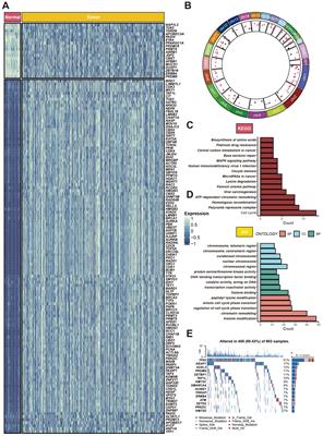 Comprehensive multi-omics analysis identifies chromatin regulator-related signatures and TFF1 as a therapeutic target in lung adenocarcinoma through a 429-combination machine learning approach
